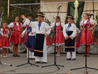 /album/fotogaleria-novinky/p8010109-jpg/