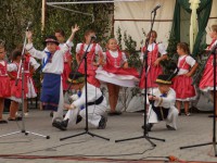 /album/fotogaleria-novinky/p8010111-jpg/